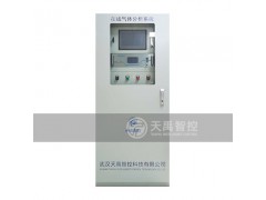 天禹智控TY-8300煤气在线分析系统图2