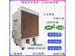 蒸发式湿帘冷风机 工作岗位通风降温空调图2
