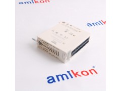 51304685-100+51401598-100图2