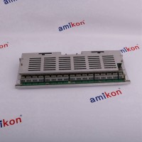 1C31194G01+1C31197G01