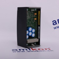 YPP110A