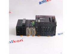ICS TRIPLEX T8151C图2