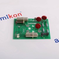 TRICONEX 3721