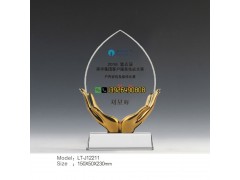 杰出人 大代表纪念品-奖励给换届荣退的人 大代表的奖品纪念品图2