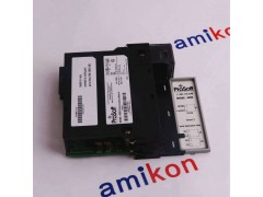 NELES AUTOMATION A413311图2