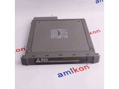 NELES AUTOMATION A413311图3