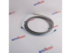 P*-023HNA023093-001图3