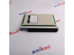 YOKOGAWA AAI841-H00图2