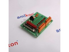 YOKOGAWA AAI841-H00图3