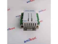 YOKOGAWA "AAT141-S00 S2"图2