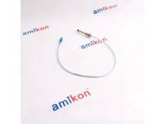 IS200ERIOH1A IS200ERIOH1AAA图2