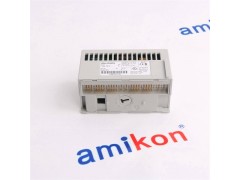 T9300 I/O模块背板 AADvance图3