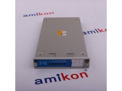 ICS TRIPLEX T8403图2