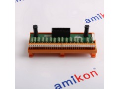 YOKOGAWA ADV159-P00图2