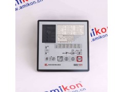 1747-L541/C图2