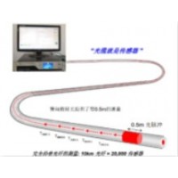 仓储货架安全在线监测系统TMP-ANG-S002