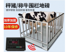 天津各种用途小地磅，平台秤，畜牧秤，围栏秤，小地磅秤图2