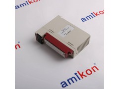 1746-OX8图2
