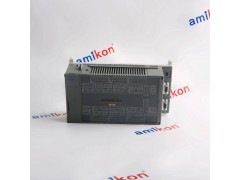 GE 531X113PSFARG1图2