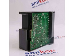 GE F31X134EPRBEG1 FR00/0图3