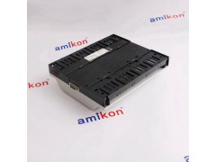 巴赫曼		DIO216图2