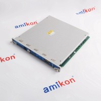 GE	IC694APU300