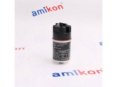 本特利机械监测系统330103-00-05-10-02-05图2