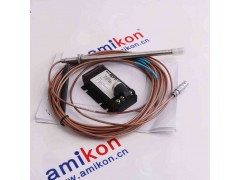 SB8213BSE018109R1图2