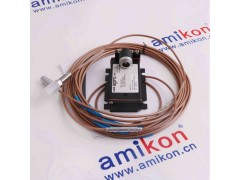 GE DS200CTBAG1ADD图2