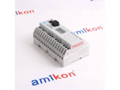 巴赫曼 DIO248 模块图2