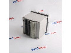 本特利	机械监测系统	330130-045-02-05图2