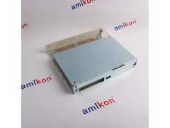 DS200DSPCH1A DS200DSPCH1ADA图2