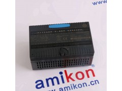 YOKOGAWA		AFV10DS2图3