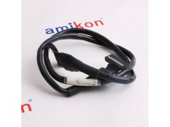 巴赫曼 FS211/N图2