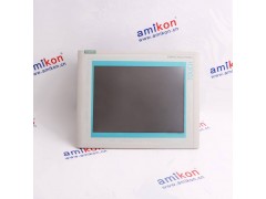 GE DS200SHVMG1AED图2