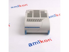 ACS SB1381-B-E-R-A-PM4图2