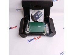 YOKOGAWA EB401-10 S1 现货图2