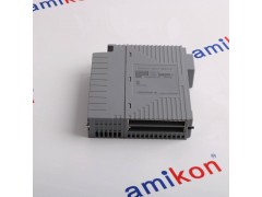 HONEYWELLMUTDID12 51304441-125图2