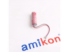 GE		DS3820PSCC1D1B图3