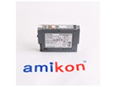 ICS TRIPLEX T9110图3