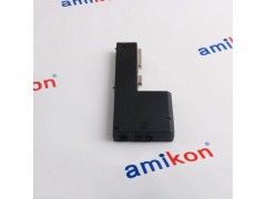 WESTINGHOUSE7379A21G01图3