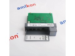WEIDMULLER AAI143/543-YG图3