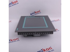 模块0198440800001图1