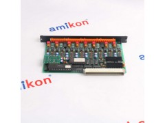 YASKAWAUSAHEM-01-TL31图2