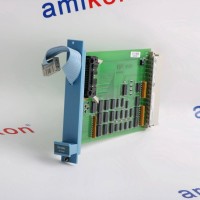 IC693DSM302