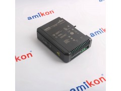 燃机涡轮控制"DS3800NGDD1C1B"图2