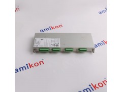 提供高性能卡件IC200ALG230图2