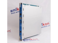 机械监测系统PR6423/000-131-CNCON031图2