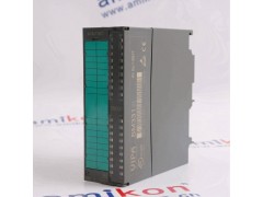 WESTINGHOUSE 1C31142G01图3