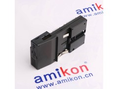 BIZERBA65486500200 14950161006图2